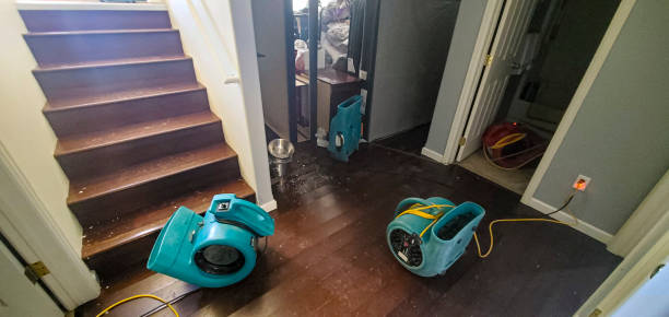 Best Professional water damage repair  in Atwood, IL