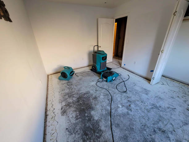 Best Fire Damage Restoration  in Atwood, IL