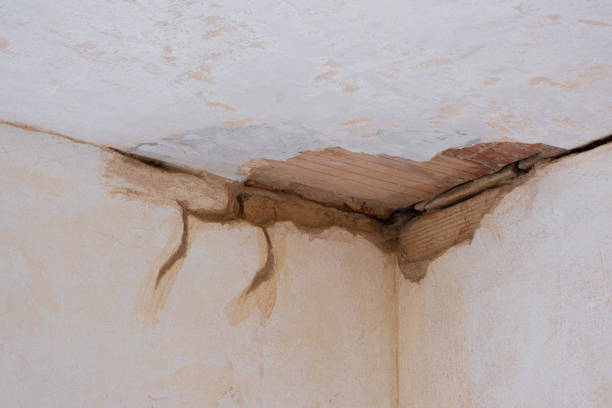 Best Water damage cleanup near me  in Atwood, IL