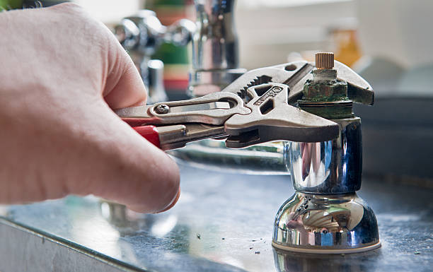 Best Water damage restoration mold remediation  in Atwood, IL